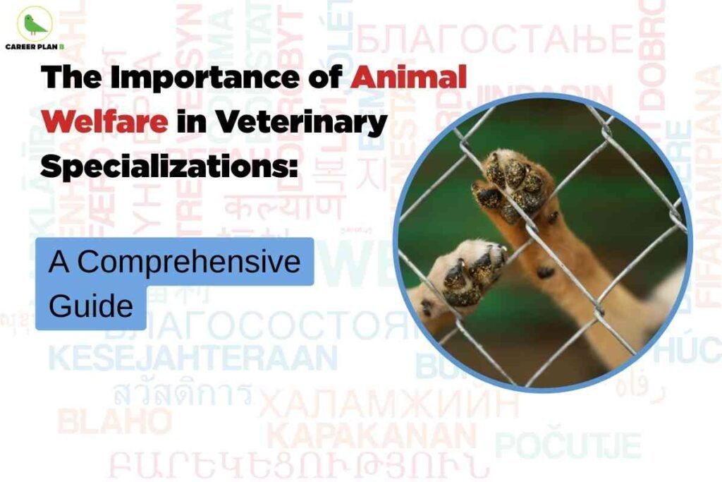 The image highlights the theme of animal welfare in veterinary specializations. On the left side, bold black and red text reads “The Importance of Animal Welfare in Veterinary Specializations:” followed by a blue highlighted box containing the phrase “A Comprehensive Guide.” The Career Plan B logo, featuring a green bird inside a circular outline, appears at the top left corner. The background includes the word “welfare” written in multiple languages in different colors. On the right side, within a circular frame bordered in blue, there is a close-up of two animal paws gripping a metallic wire fence, symbolizing the urgent need for compassion and care in veterinary practices.