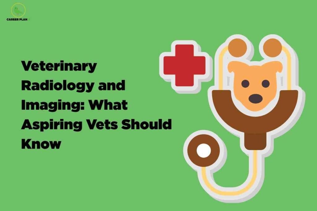 A digital illustration features a light green background with the title "Veterinary Radiology and Imaging: What Aspiring Vets Should Know" written in bold black text on the left side of the image. In the upper left corner, a small logo and the words "Career Plan" are visible. On the right side, there is a stylized icon of a brown stethoscope, where the earpieces resemble the head of a dog. Next to the stethoscope is a red medical cross symbol outlined in white, representing veterinary healthcare. The overall design uses simple, flat shapes and bright colors to communicate information about veterinary radiology and imaging for students or aspiring veterinarians.