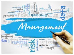 Commerce and Management