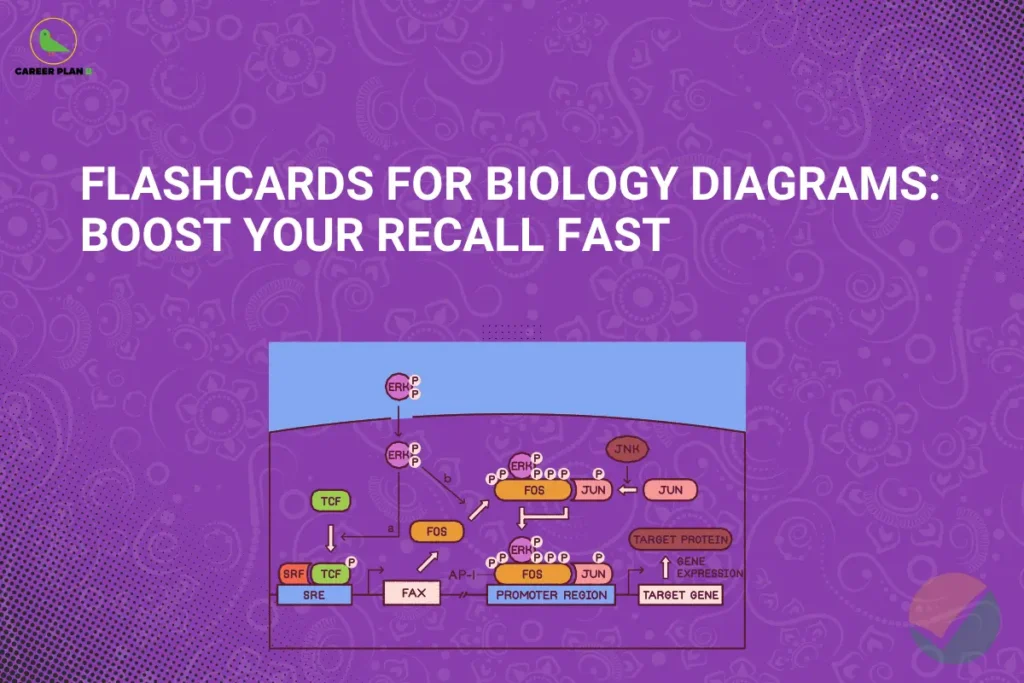 This image contains a purple gradient background with intricate floral and paisley-style patterns along with dotted accents on the right. In the top left corner, there is the “CAREER PLAN B” logo featuring a green bird inside a yellow circle with black text and a green “B.” Across the upper-middle section, bold white text reads “FLASHCARDS FOR BIOLOGY DIAGRAMS: BOOST YOUR RECALL FAST.” Below the text, there is a rectangular biology diagram showing labeled components like ERK, FOS, JUN, and gene expression pathways, representing scientific concepts and study material. In the bottom right corner, a faint circular checkmark-style icon in orange and green is visible, reinforcing the exam and learning theme.