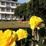 Dr Birinchi Kumar Barooah College, Puranigudam