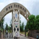 Rabindranath Tagore School of Languages and Cultural Studies, Silchar