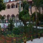 Bhatter College, Dantan