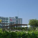 MVN University, Palwal