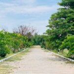 Guru Gobind Singh College of Management and IT, Hoshiarpur