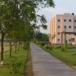 Raffles University, Neemrana