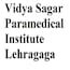 Vidya Sagar Paramedical Institute, Lehragaga